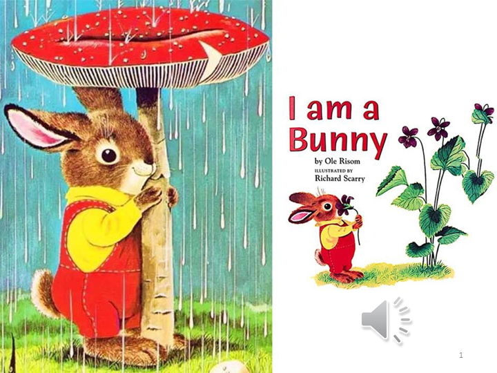 I am a Bunny-2Tigers